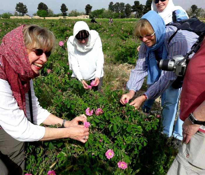 Iran Festivals - Kashan Rose Water Festival