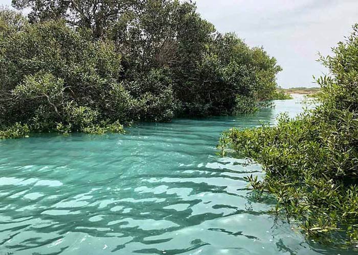 Dangerous Places in Iran - Qeshm Mangroves