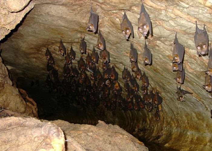 Dangerous Places in Iran - Bats Cave